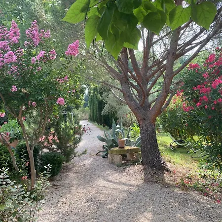 Mas Des Bomes Et Bed & Breakfast *